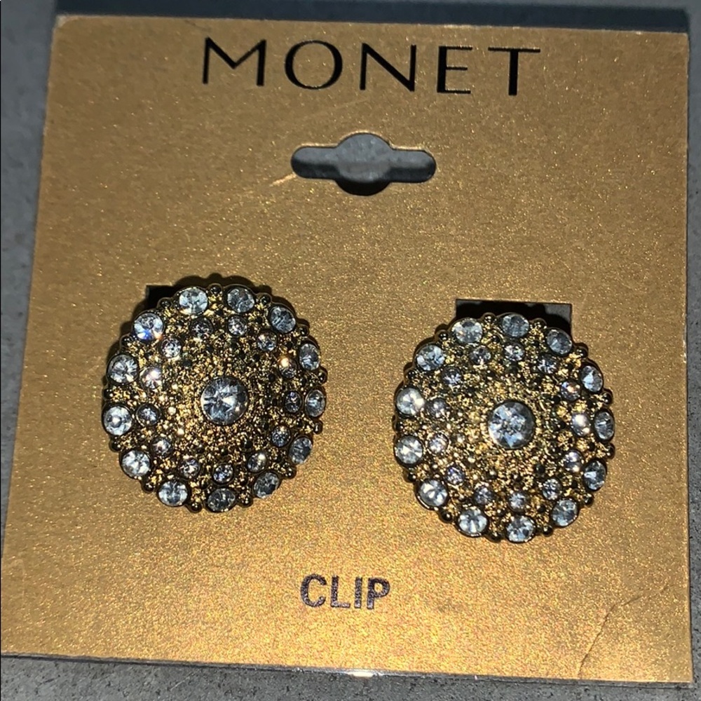 Monet earnings